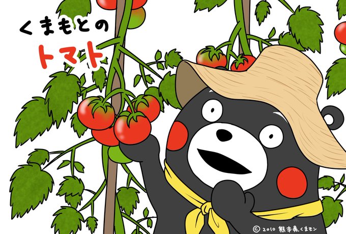 夏のポストカードのtwitterイラスト検索結果