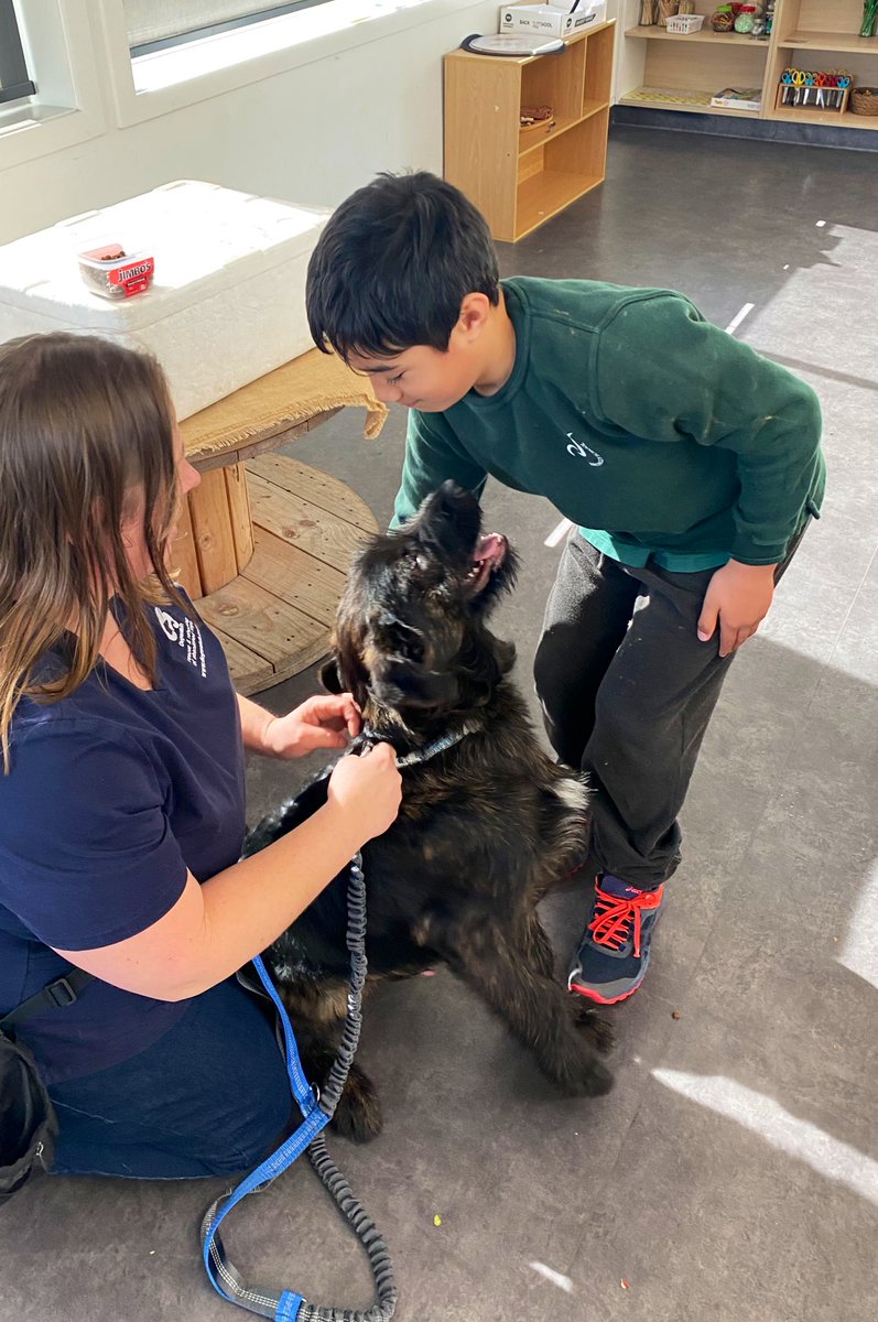 2021Pitau2's tweet photo. Pītau 2 were so lucky today - for Inquiry we had Dogwatch come in and explain the Manaakitanga that dogwatch shows to our dog community in Ōtautahi! We even got to meet Ed - rescued by dogwatch who was the very goodest boy for us all 😍 #bromleyschoolnz #TamaiCoL #connected https://t.co/fpPfwPiyxs
