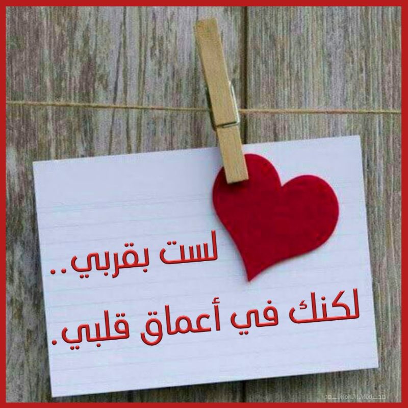 هناك أشخاص نرتبط بهم روحياً ..
حتى ولو لم نراهم .. أو نلتقي بهم ..
فقط هي ارواح تتلاقى ..