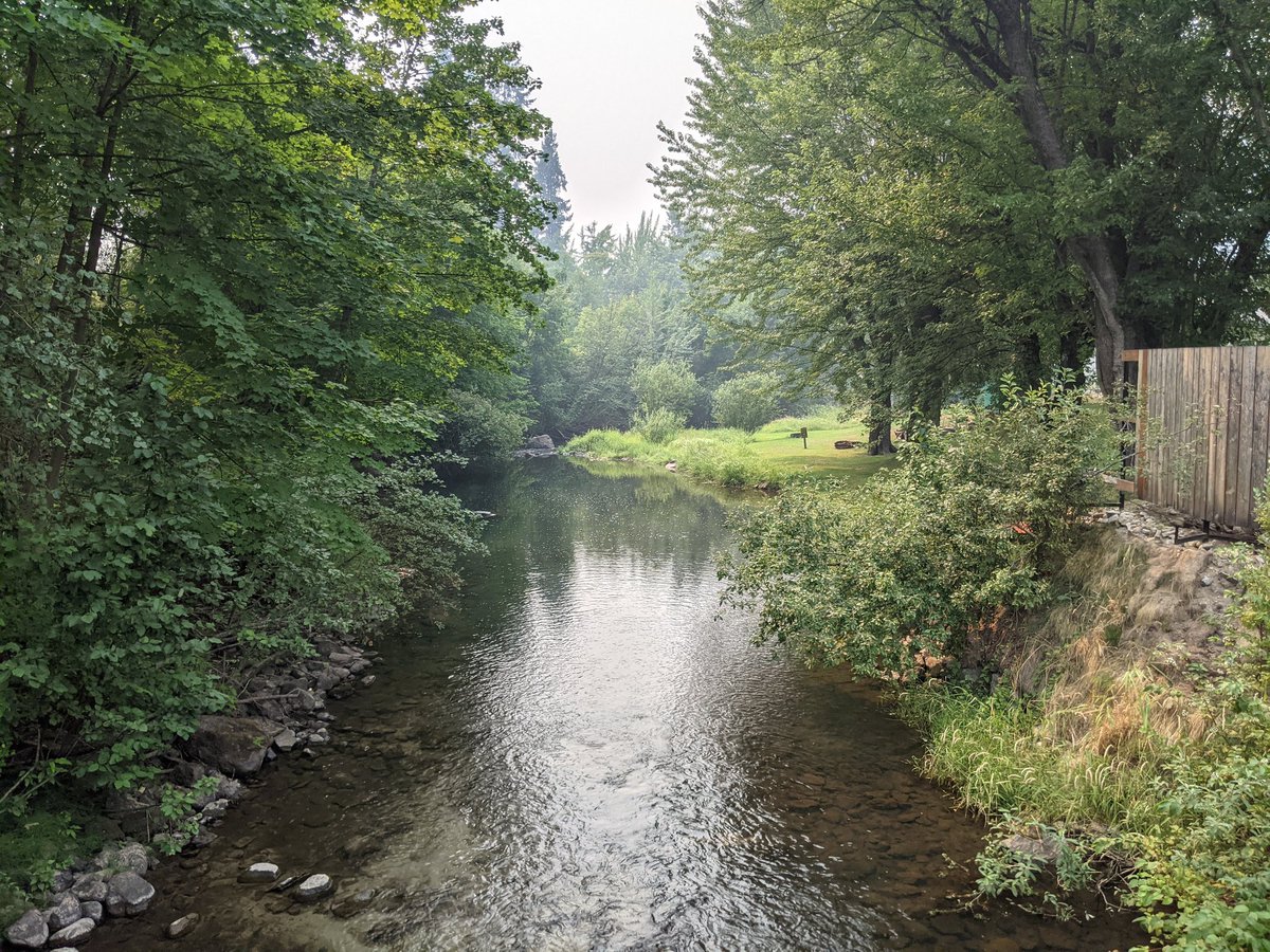 Took a picture this weekend on the footbridge over the creek that runs through town. It was mid afternoon, and the wildfire smoke gave it a misty morning appearance.
