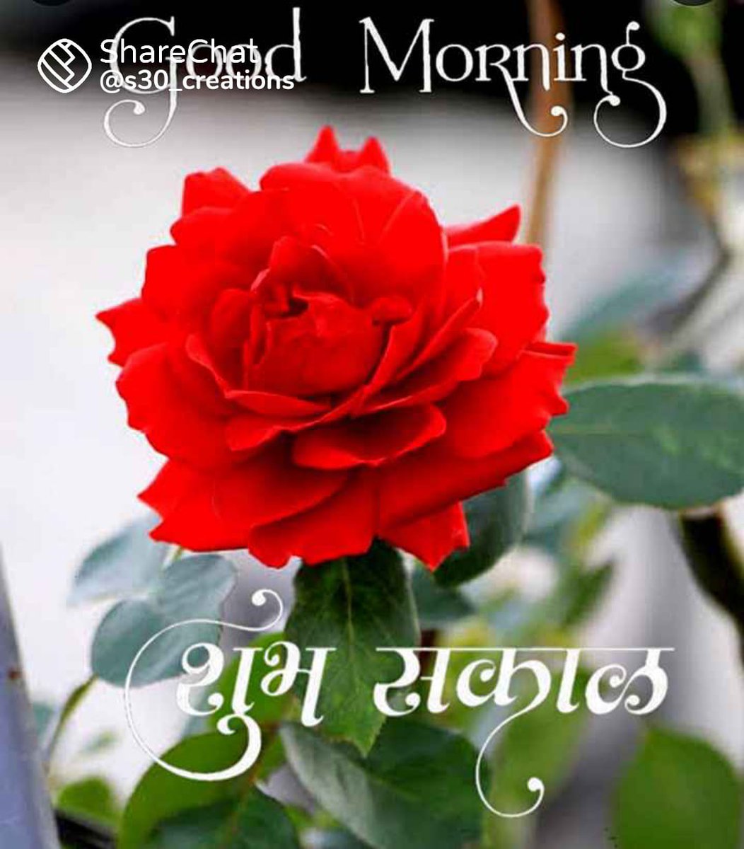 GajananDharmal4's tweet photo. @pushpathak https://t.co/Qlpa3UKaxK