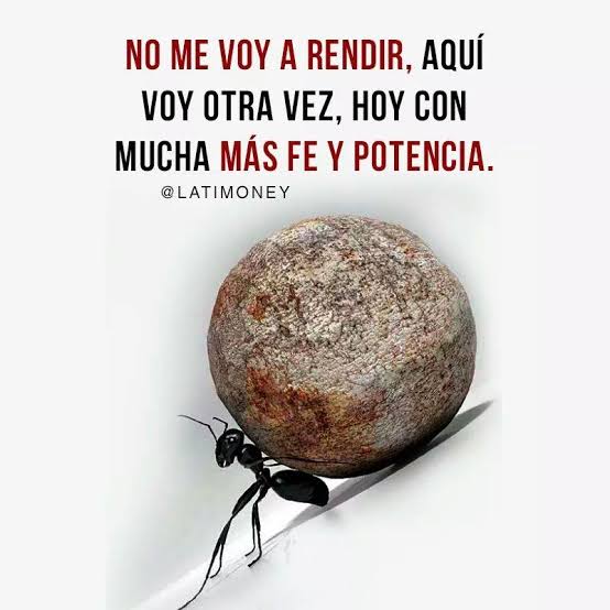 Buenas noches, tuiteros de bien.

Les deseo una gran semana, llena de exitos.

Al Amo y su Morena no... #Apestan.