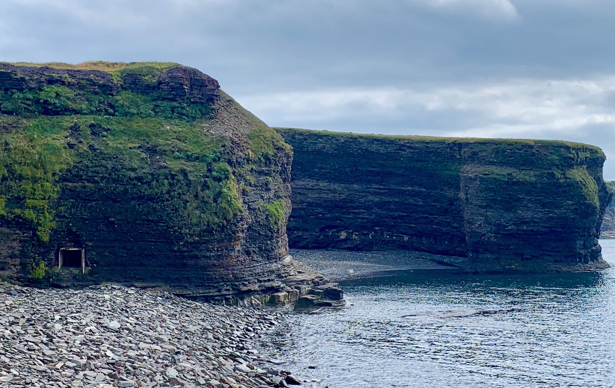 mikecball's tweet photo. What a beauty find Grebe’s Nest was today!  A bit of a trek to Bell Island, but definitely worth it. https://t.co/jXMZYp313p