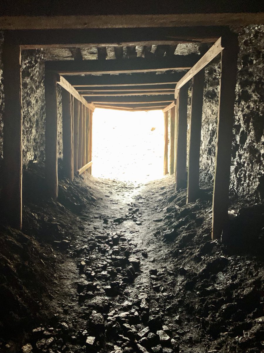 mikecball's tweet photo. What a beauty find Grebe’s Nest was today!  A bit of a trek to Bell Island, but definitely worth it. https://t.co/jXMZYp313p