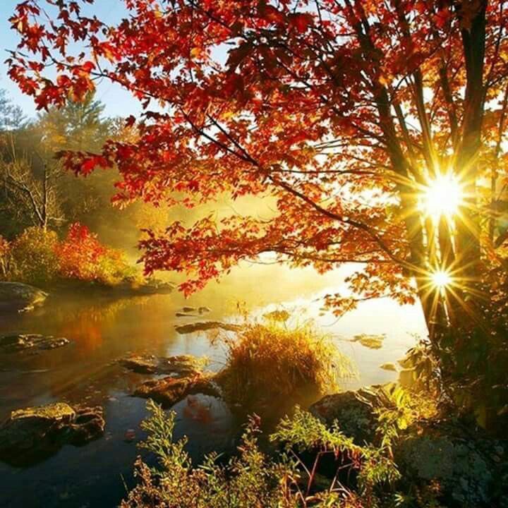 111heavenearth's tweet photo. Nowadays
This moment We are
Forever in love
Expansion stillness growing
God’s ordinance
Our given obedience
My raw material 
Your golden alchamizations
Take me up roll me down
There’s nothing
I won’t do for you
To plant your soul 
Each window in heaven
With me completely
Join you https://t.co/Il8UtUlAkf