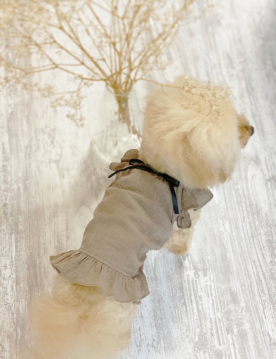 bbblastbot's tweet photo. #俳句犬

【自粛夏 お部屋の中の ファッションショー👗】

＃イヌの顔 #犬のいる生活  #犬好きと繋がりたい  #プードル #紀州犬  #いぬ #犬のいる暮らし #愛犬自慢 #俳句 #犬俳句 ＃12Pet https://t.co/H2XAzjJqlP