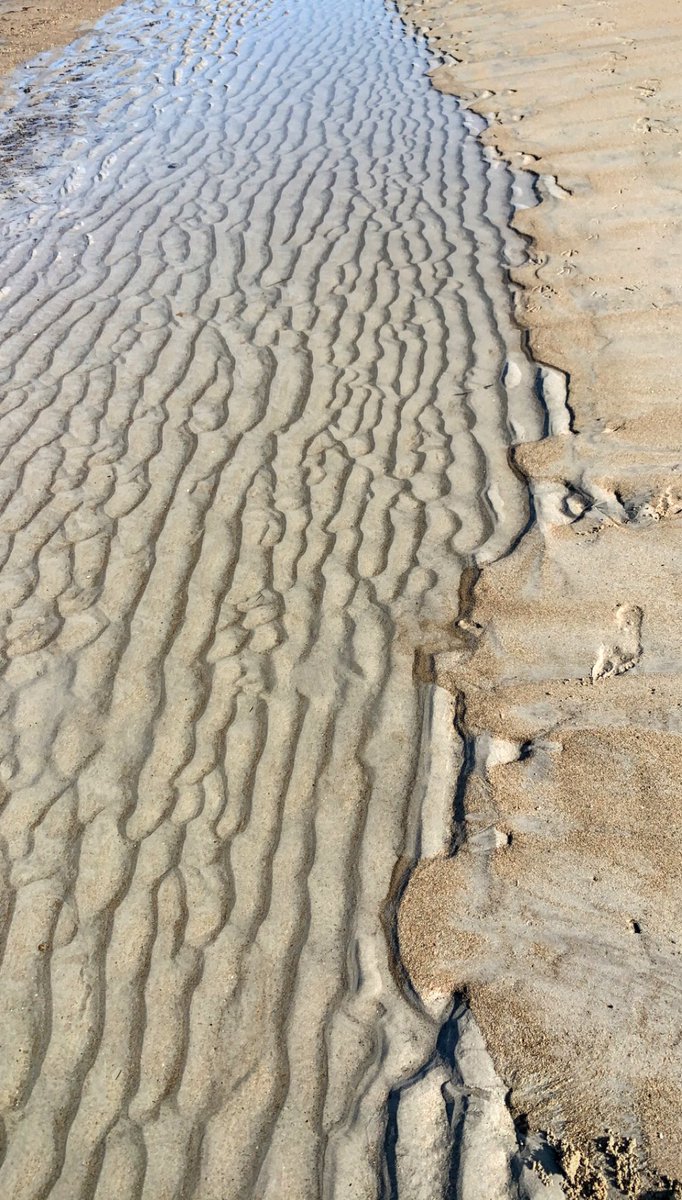 Hans J. Schmidt tweet media