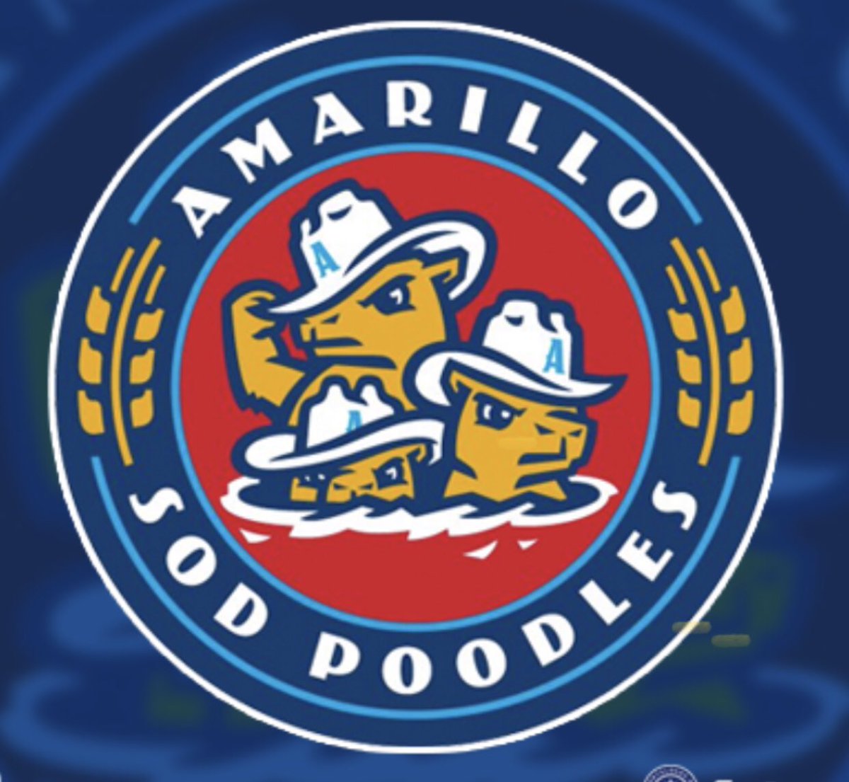 Trinity HS Baseball tweet media