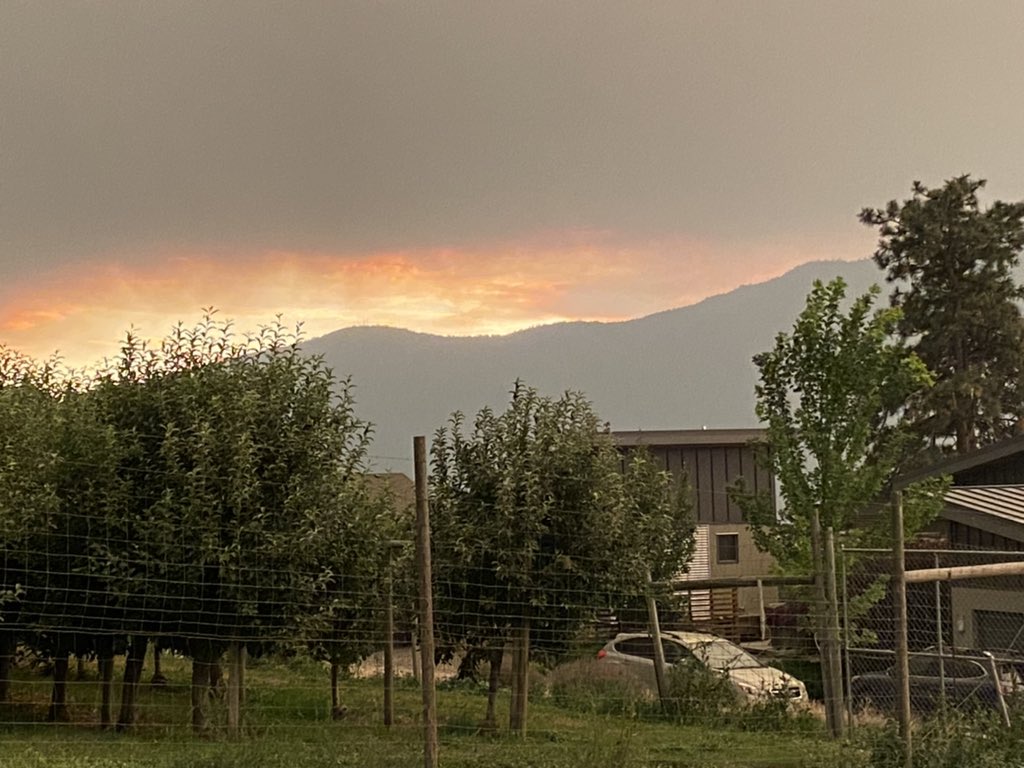 Edgecombe2John's tweet photo. Some pictures of the smoke in BC today! (Rogers Pass, Vernon, Lake Country) https://t.co/H2lsUWC3zC