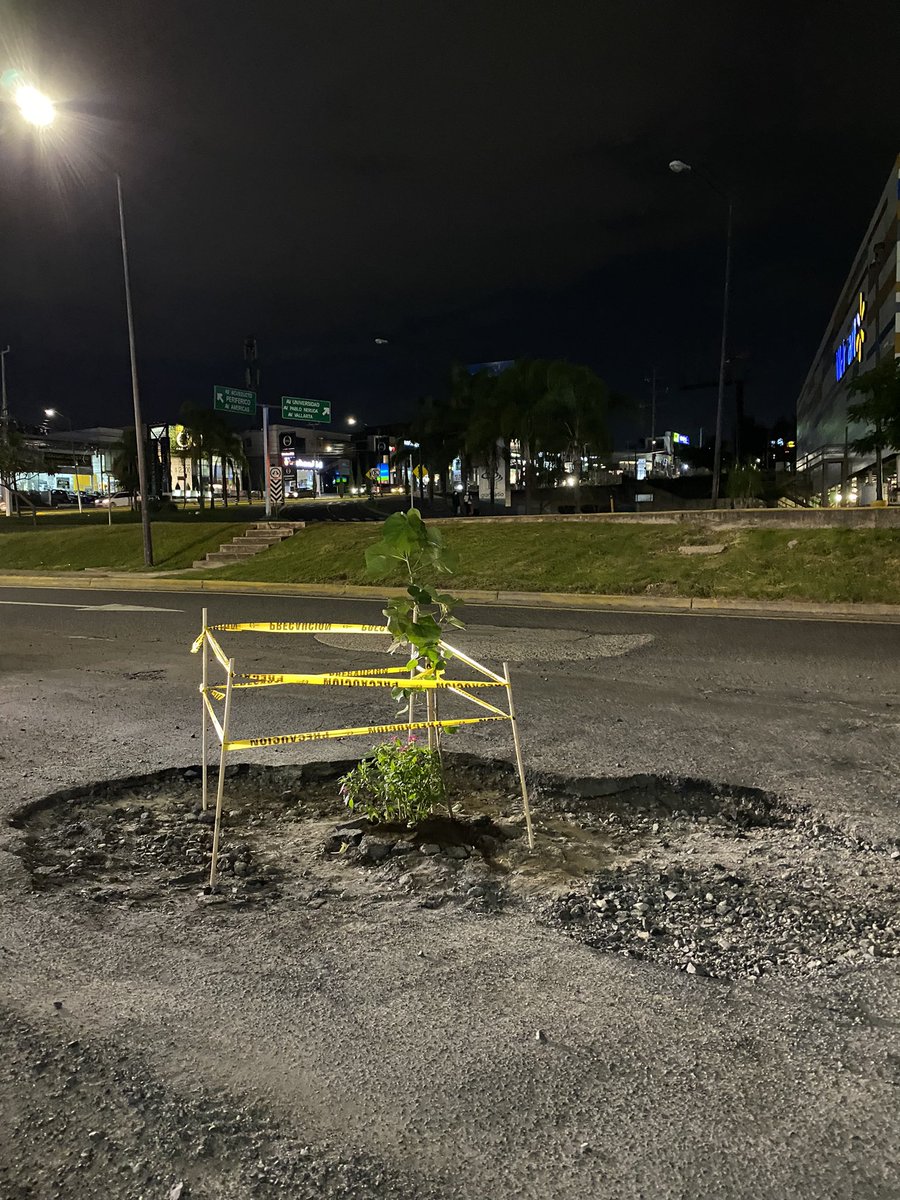 marijoBF's tweet photo. Después de 3 meses este bache (Av. Paseo Royal Country y Av. Patria) se convierte en área verde ya que las autoridades no lo atienden 🤗 @op_zapopan @PabloLemusN https://t.co/USFlbj5BDY