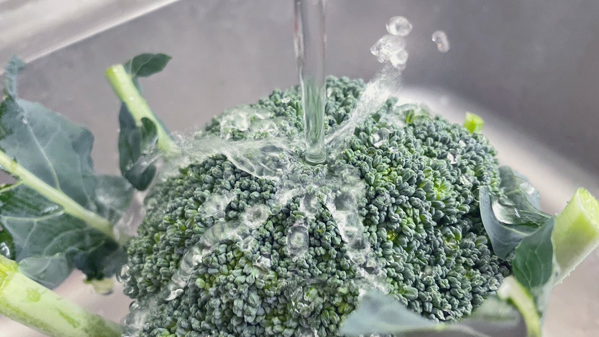 有限会社安井ファーム Q ブロッコリーはどこまで洗えばよいのでしょうか A 基本的には 食べる方が納得するまで でよろしいかと思います 人によって価値観が異なりますので 流水で済ませるもよし 念入りに洗うもよし 各々が納得できるカタチで洗っ