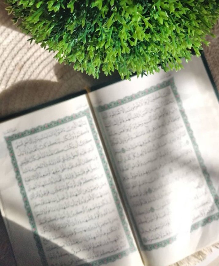 يا رب أن يبلغ القران في قلوبنا مبلغًا يُبكينا خشيةً ورحمةً ورجاءً وخوفًا وطمعًا وتفكرًا وتقوى ❤️.
##قرآن_كريم