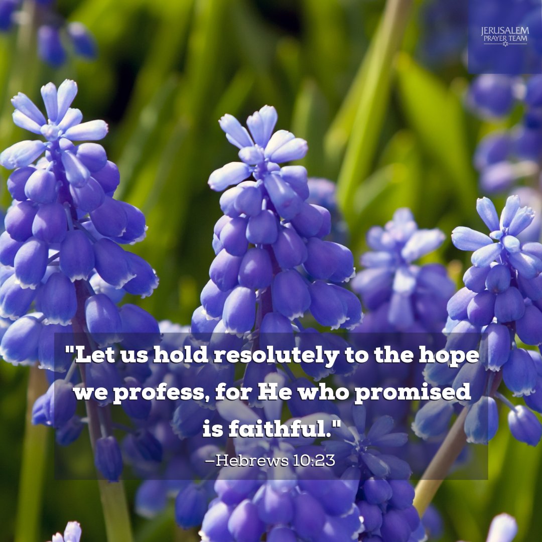 jerusalemprayer's tweet photo. "Let us hold resolutely to the hope we profess, for He who promised is faithful."
—Hebrews 10:23

#RemainInHim #SaltLight #Believe https://t.co/txk0NSdE6a