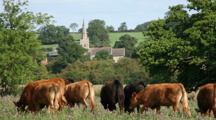 PastureForLife's tweet image. ‘Could this farm actually run without livestock on it? The answer to that is a definite no! There’s been an absolute transformative effect…it’s like waving a magic wand…the whole thing comes to life!’ Founding member, certified #PFLA farmer John Turner. pastureforlife.org/biodiversity/g…