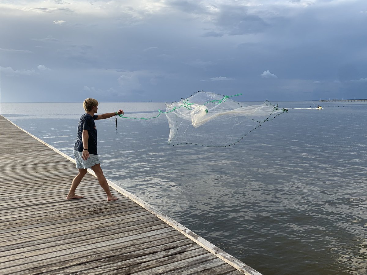 GofishLA's tweet image. Catching dinner in Lower Alabama #castnet #catchingshrimp #SaltLife #Fairhope