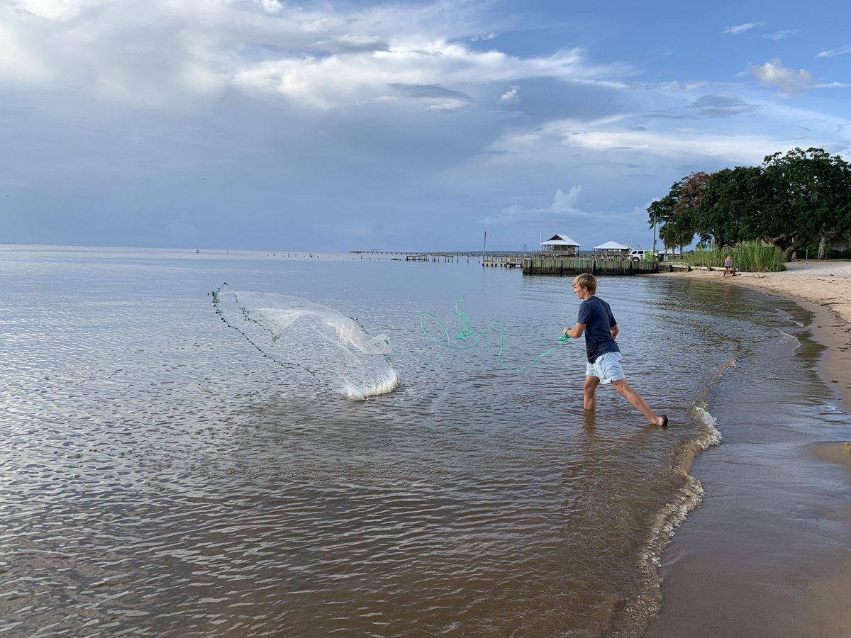 GofishLA's tweet image. Catching dinner in Lower Alabama #castnet #catchingshrimp #SaltLife #Fairhope