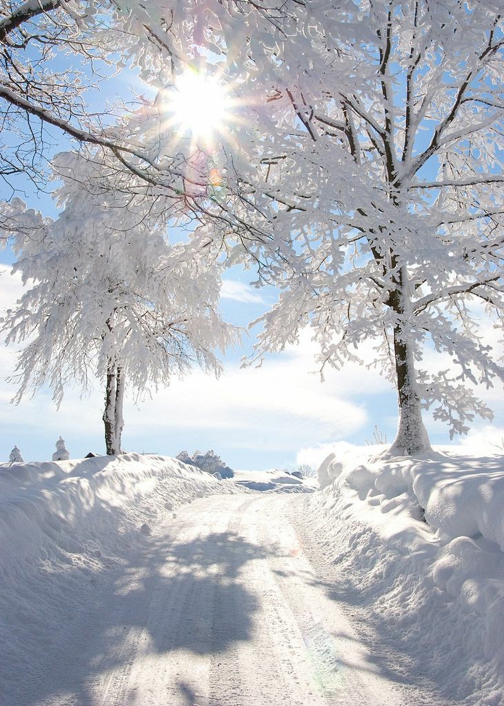 BeautyNature___'s tweet photo. Good morning everyone. 
#nature #naturePhotography https://t.co/A7jZ1ATg4b