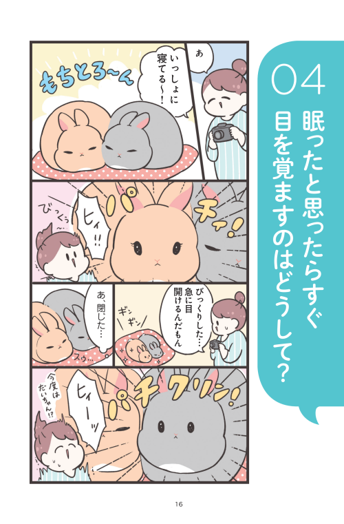 🐰9月6日発売『うさぎの本音がわかる うさほん』中身ちょい見せ🐰①(1/2)
今回はプロローグと本編4本です!こんな主旨+こんな感じのマンガ+解説構成で、楽しくうさぎに詳しくなれちゃう!!

特典しおり付き予約受付中です☺️
https://t.co/8dw8njzpx4 