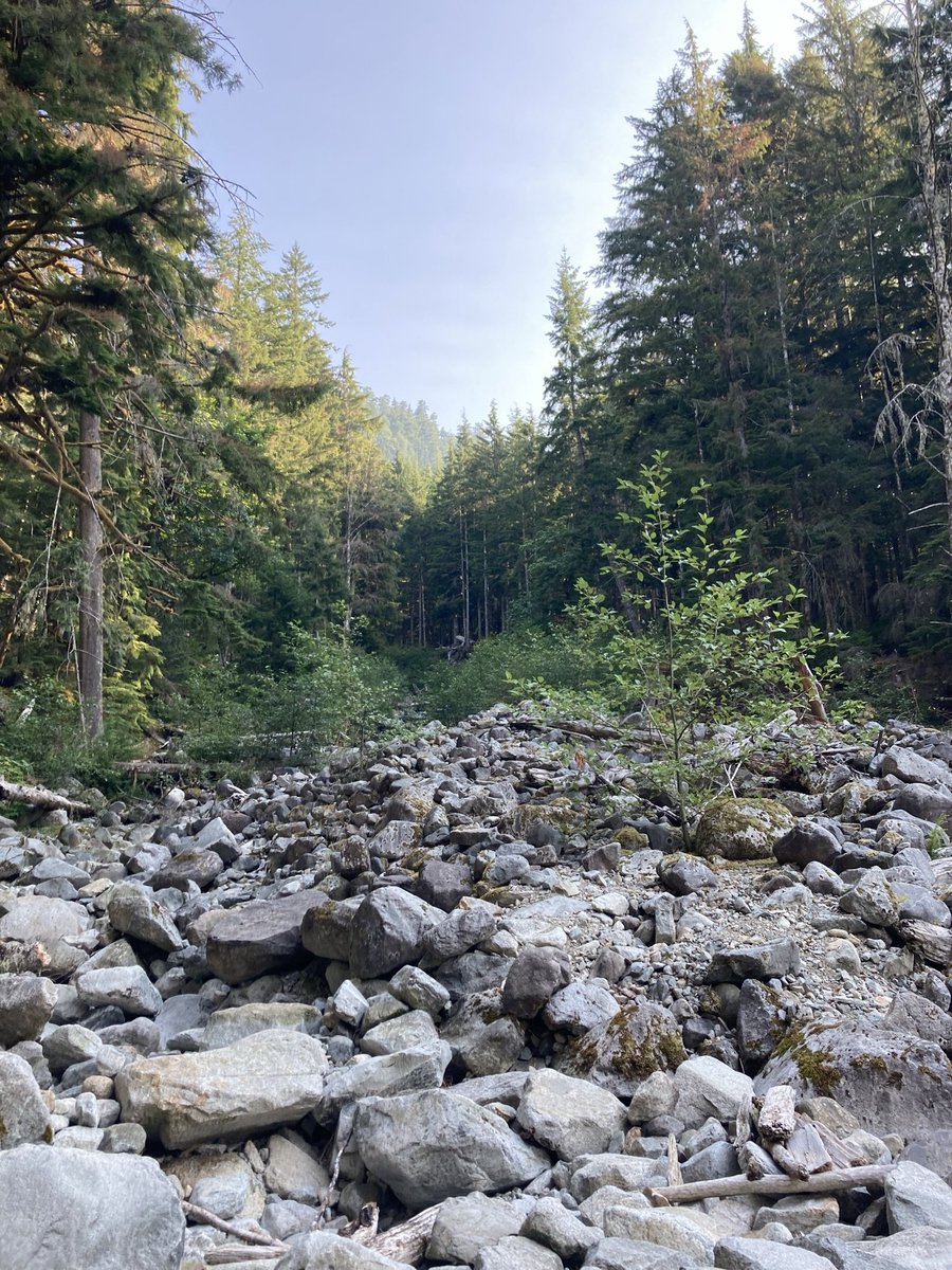 Always__Running's tweet image. What we do, week after week never gets old, exploring Puget Sound Region. We ran CCC Road Trail point to point, 7.5 and 11.25 miles. Had the entire trail to ourselves, saw two major washout, that were new since 2017. No wild life, but Laura dodge a falling tree and got some bumps