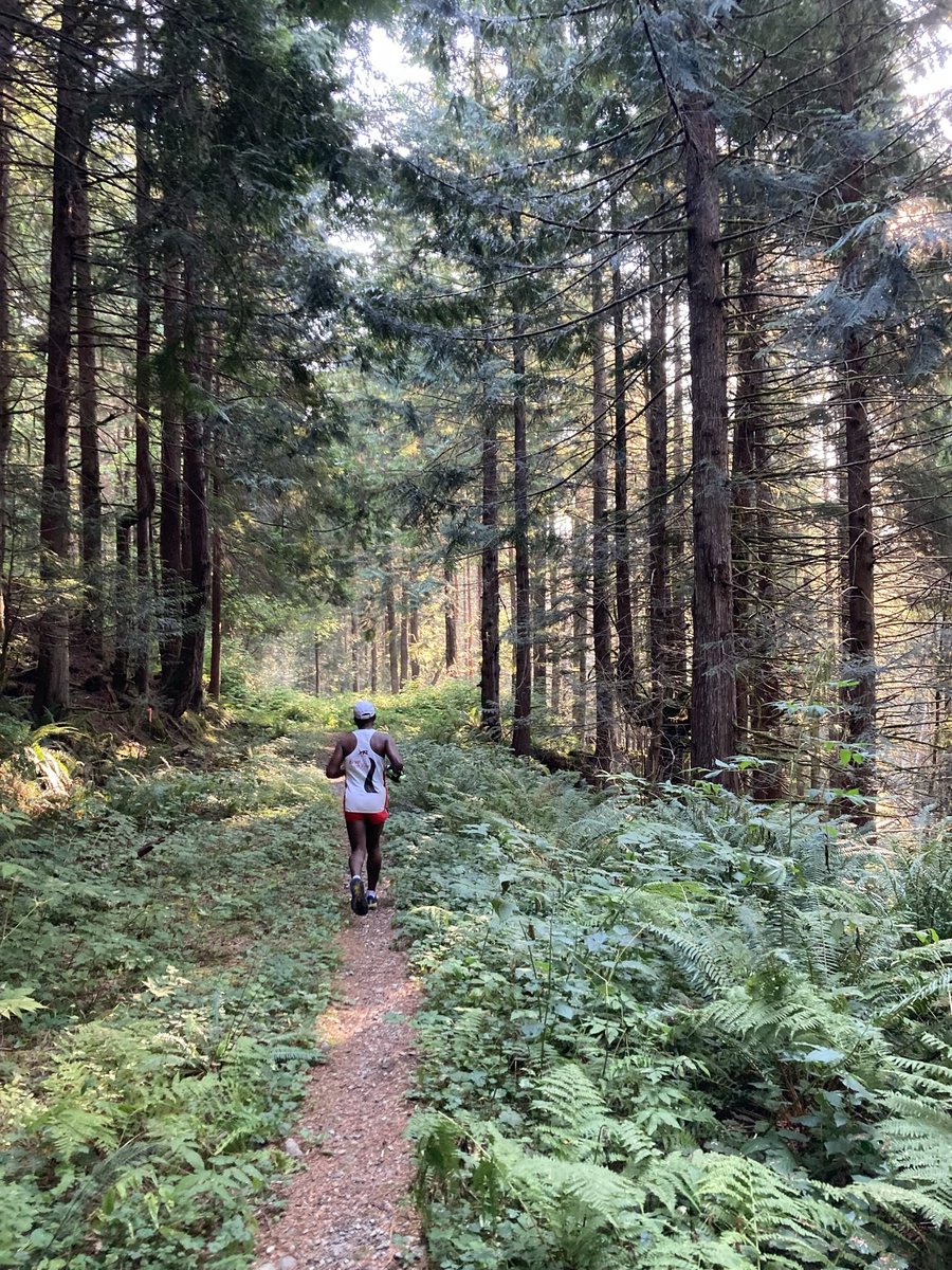 Always__Running's tweet image. What we do, week after week never gets old, exploring Puget Sound Region. We ran CCC Road Trail point to point, 7.5 and 11.25 miles. Had the entire trail to ourselves, saw two major washout, that were new since 2017. No wild life, but Laura dodge a falling tree and got some bumps
