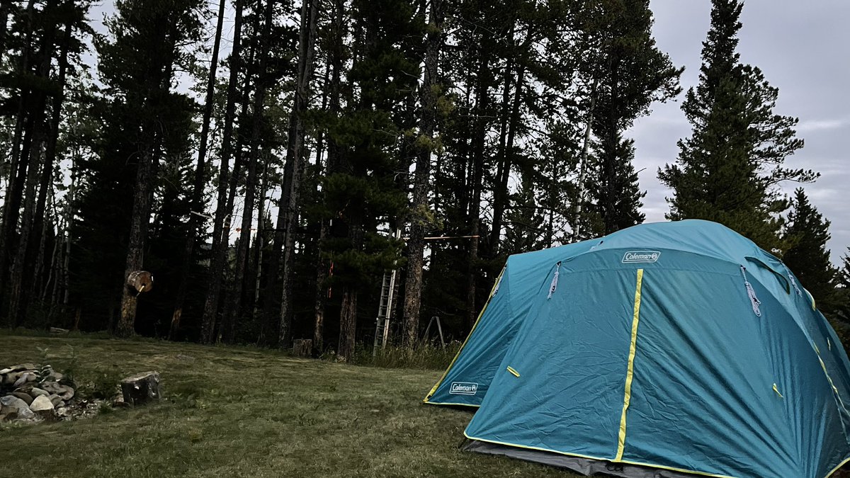 Bears, bears stay away 🐻 
The kids are in the tent to play 
But if by chance you wander through 
My .45-70 will make a rug of you 

#TwitterPoems #PlayOutside #FoothillsCounty