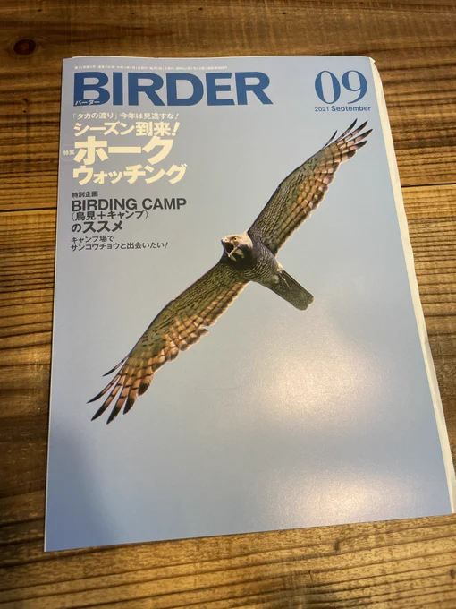 タカの渡りシーズン(そろそろ)到来!ということで、 本日発売『BIRDER』9月号「ホークウォッチング」特集にて、サシバ&ハチクマ&素敵なタカの仲間たちの図解(4ページ)を寄稿しています。人間が移動を制限されまくりで気が滅入る今だからこそ、鳥のはるかなる大移動に思いを馳せてみてはいかが? 