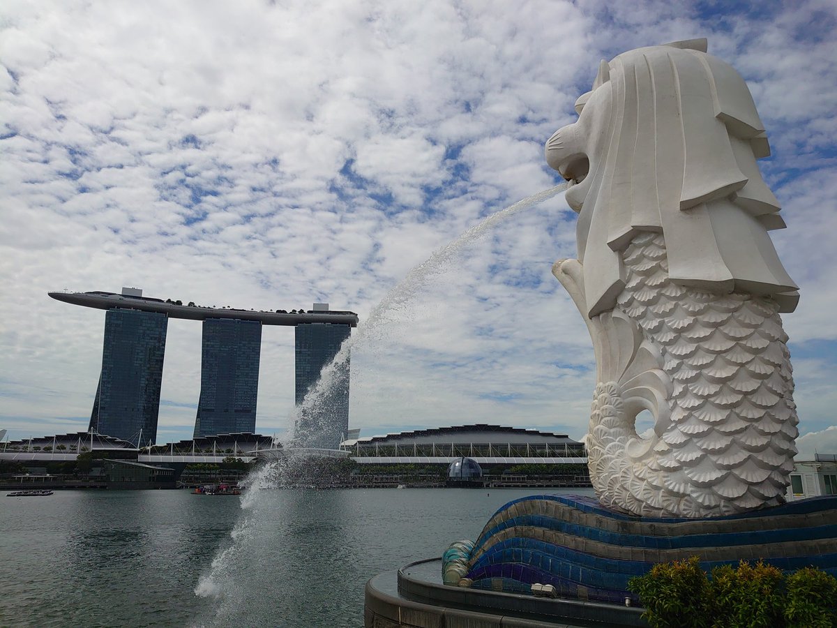 パンダバス シンガポール支店 Pandabus Sin Twitter