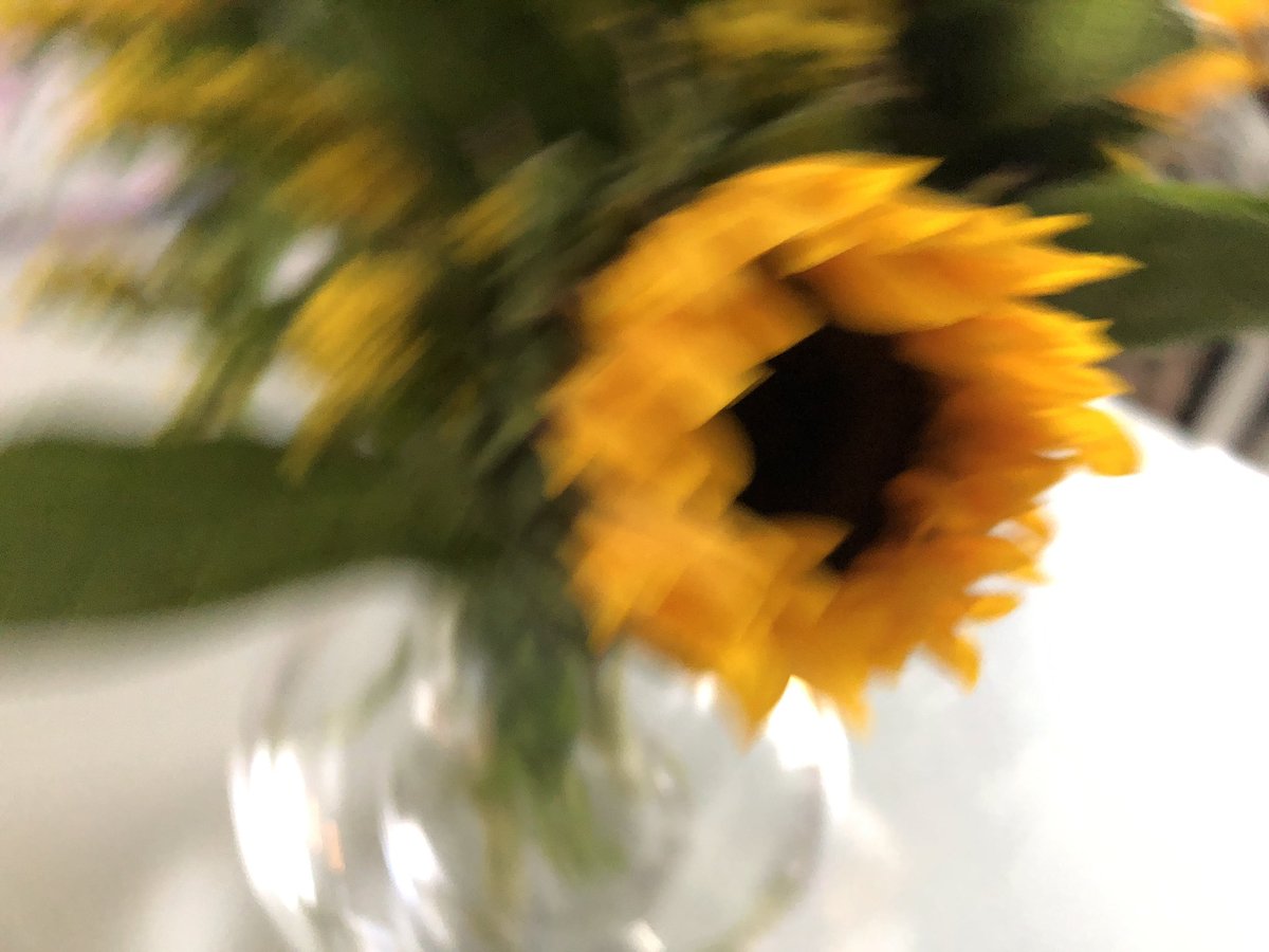 Taidekuva aamuvarhaisella.