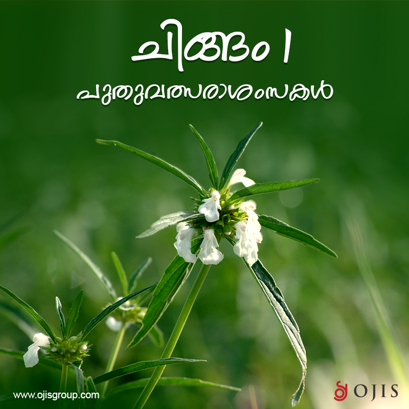 OjisGroup's tweet photo. ചിങ്ങപ്പുലരിയിൽ ഒരായിരം ആശംസകൾ നേരുന്നു...OJIS GROUP 
#ojisgroup #chingamasam #MalayalamNewYear #Kerala https://t.co/pvzLlIx9Mo