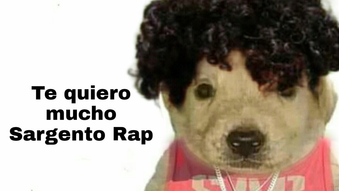 MsPrinicess's tweet image. Ay Sargento eres tan elocuente estando tan loco eres genial 🥺😀😀😀 #HOYGANAPABLO #PabloEsMexico #PabloGanadorSurvivor2021 #SurvivorGranFinal WERO CAMPEÓN ABSOLUTO