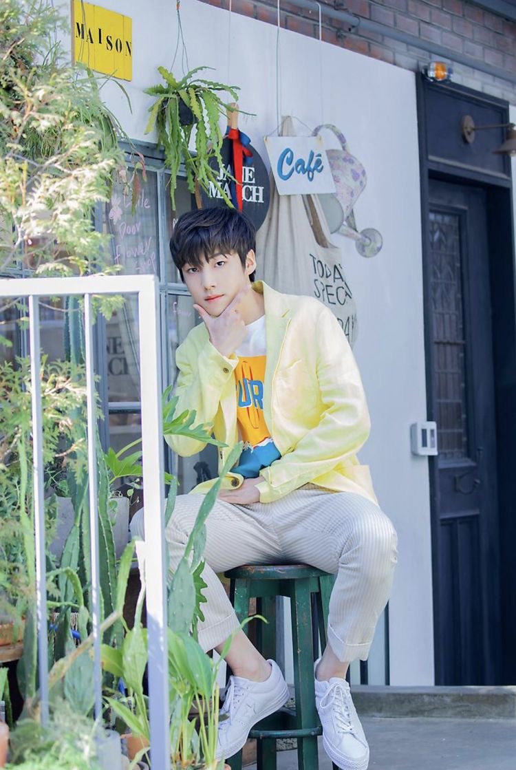 eunsangfile's tweet photo. beautiful sunshine concept pics 🍋 https://t.co/YXDu7WUU1A