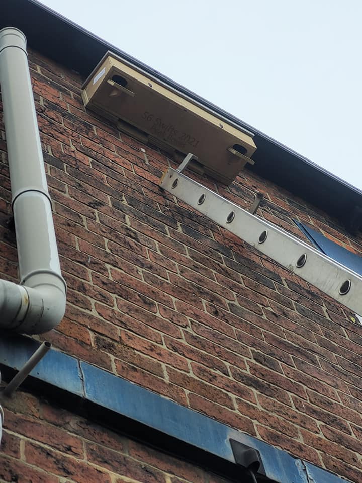 Two more lovely swift nest boxes fitted in #Hillsborough #Sheffield this morning. Each has room for 2 pairs of swifts plus bonus roosting space for bats! s6swiftssheffield.org/can-you-provid…