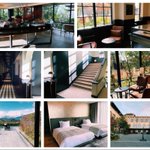 ツイートに含まれる画像