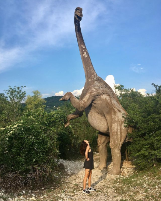 Ebbene sì, sui #ColliEuganei ci sono i dinosauri. Nel parco geologico esterno del Museo di #CavaBomba trovi la riproduzione di animali preistorici a grandezza naturale. Vieni a conoscerli! bit.ly/3CTpIOs #CintoEuganeo #VisitVeneto IG toddichan_