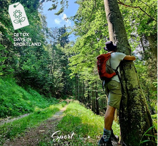 VisitFVG's tweet photo. Conosci il Forest Bathing❓
Il #ForestBathing è una vera e propria immersione nel bosco🌲. Letteralmente significa “bagno nella foresta”. 

▶️ I pacchetti detox Sportland: https://t.co/WdIhxsvoFg

#ForestTherapyGuide https://t.co/DvW7k66TqS