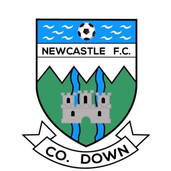Newcastle FC tweet media