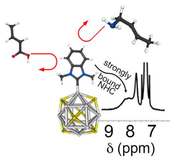 bhkenlo's tweet photo. Probing the Ligand Exchange of N-Heterocyclic Carbene-Capped Ag2S Nanocrystals with Amines and Carboxylic Acids https://t.co/S9KSRpl0Hj Sharada, Brutchey, and co-workers @InorgChem #silver #NHC #nanocrystals #longchain #amine #carboxylicacid #ChemTwitter #RealTimeChem https://t.co/OfjrWN8vLV