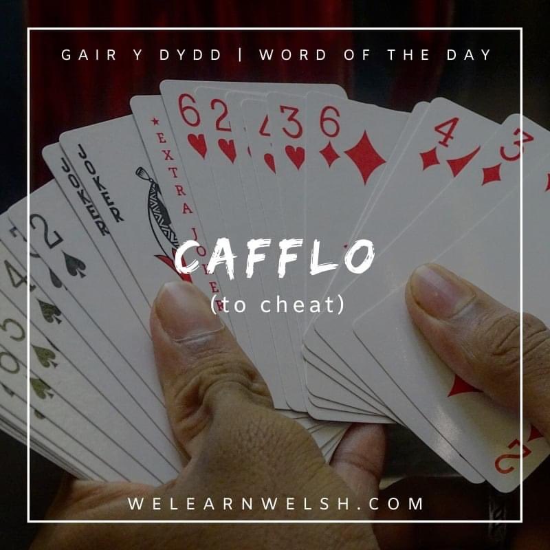 We Learn Welsh (@welearnwelsh) on Twitter photo Gair y dydd / Word of the day: cafflo (to cheat)
Yn anffodus dw i byth yn ennill - y lleill yn cafflo yn fy marn i! = Unfortunately I never win – the others cheat, in my opinion!
#welsh #cymraeg Gair y dydd / Word of the day: cafflo (to cheat)
Yn anffodus dw i byth yn ennill - y lleill yn cafflo yn fy marn i! = Unfortunately I never win – the others cheat, in my opinion!
#welsh #cymraeg