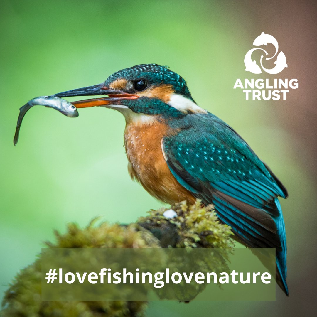 Like this post if you feel fishing is all about getting out there in our beautiful countryside.

#LoveFishingLoveNature
#Getfishing