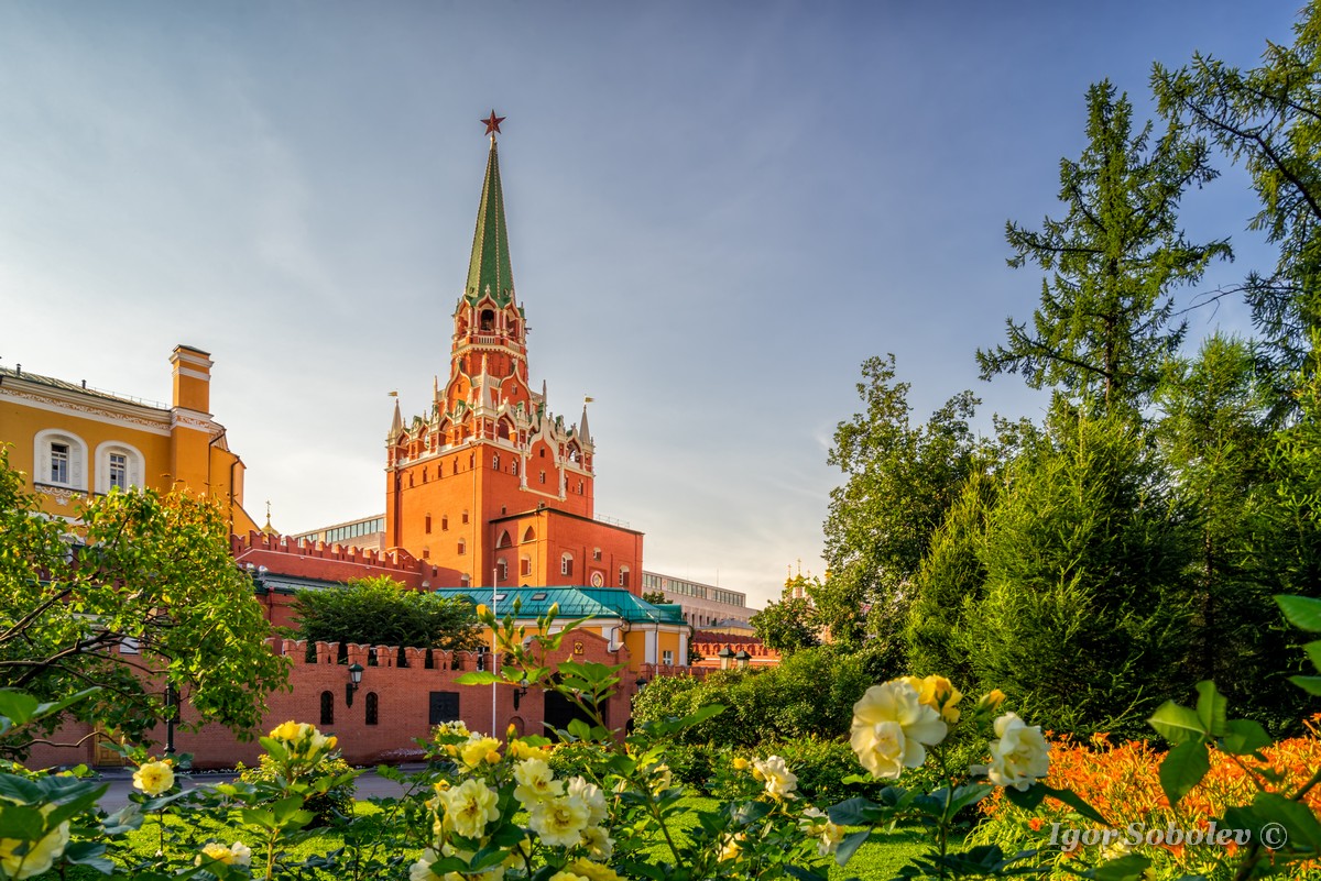 Москва Кремль Александровский сад
