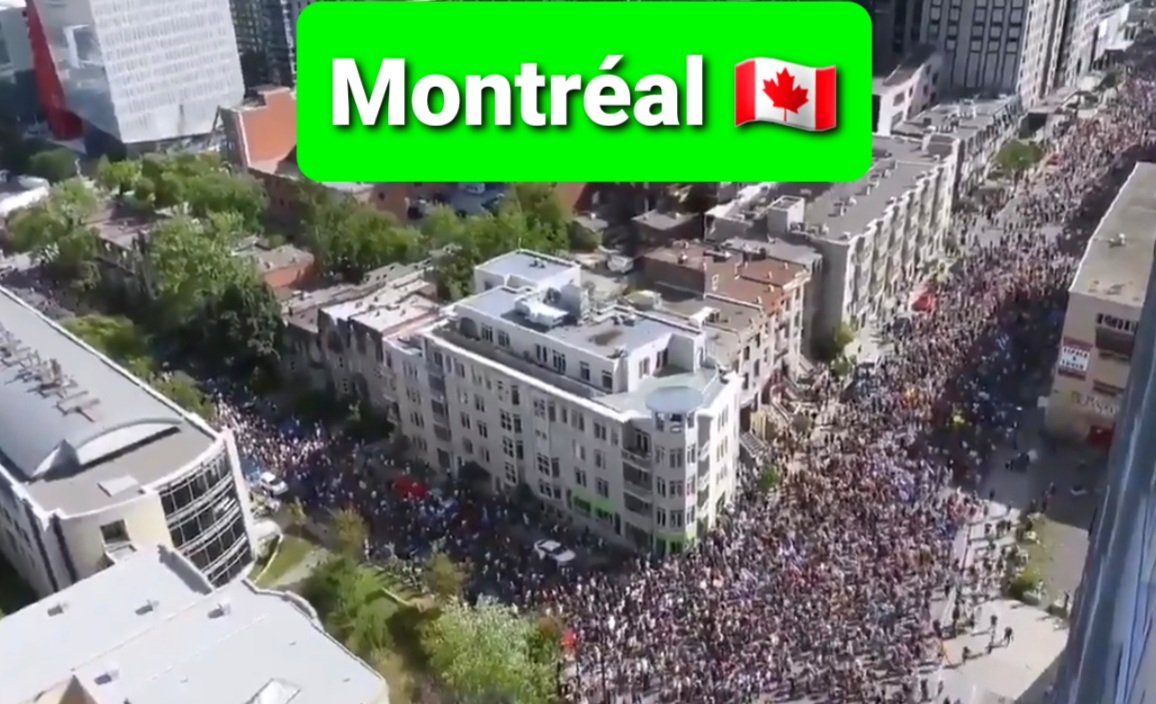 f_asselineau's tweet photo. ✊LA RÉVOLTE ANTI #PASSESANITAIRE N'EST PAS FRANÇAISE MAIS MONDIALE !
Nos médias présentent la révolte contre la #dictature sanitaire comme une lubie de quelques milliers de «Gaulois réfractaires».
C'EST FAUX !
🌍Regardons les manifs à
New-York🇺🇸
Montréal🇨🇦
Tel-Aviv🇮🇱
Katowice🇵🇱 https://t.co/gXJWg9lUj9