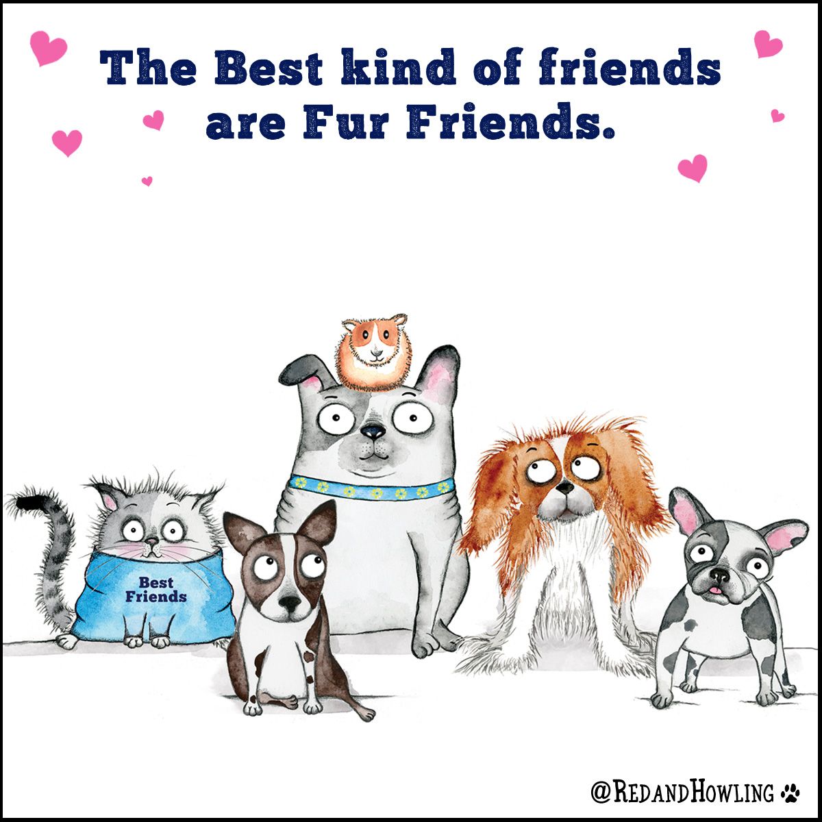 Intracinpharma's tweet photo. Best kind of friends are fur friends.

#bestfriends #petfriends #furfriends #animalcare #vetmed #veterinarycare #petcare #petquote #IntracinPharmaceuticals https://t.co/pduIy0z8r4