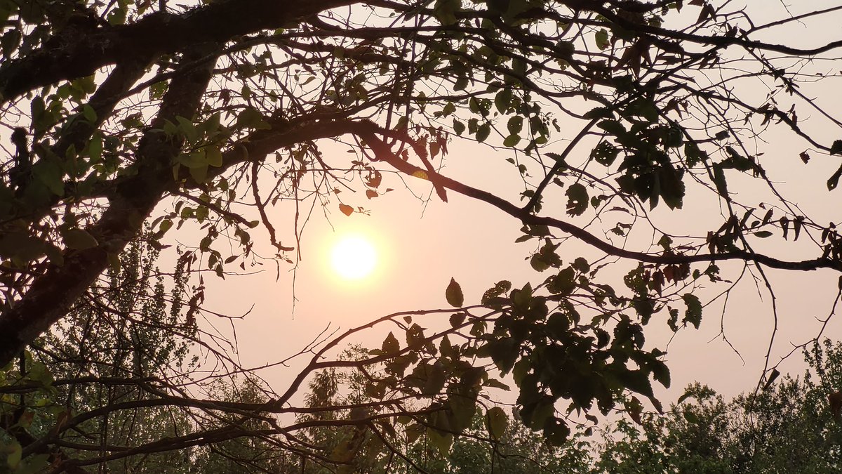 tommegma's tweet photo. Saturday's sunset, Sunday's sunrise, and Sunday's sunset. Can see how the smoke has cleared.

@NatashaKOIN6 @JosephForecast 

#weather #sunset #smoke #wildfiresmoke #sunrise #sunrays https://t.co/v40RsaUmI5