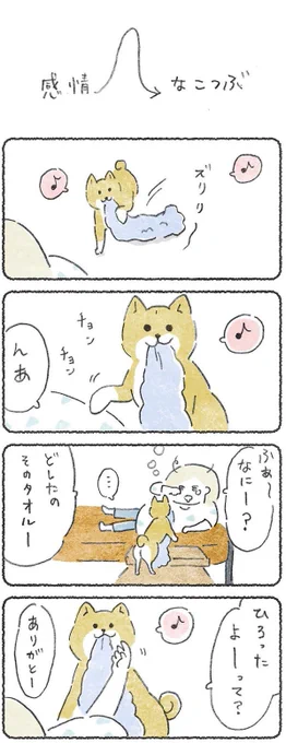 飼い主を起こして遊ぶ犬が  ショックを受けるまで#豆しばこつぶ(1/2) 