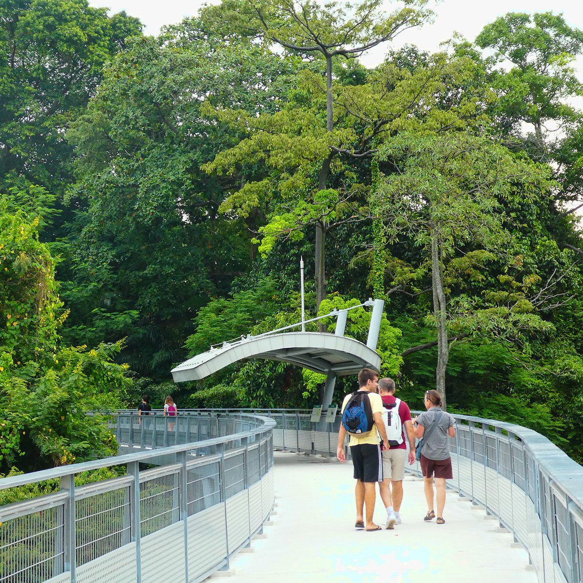 guiadesingapur's tweet photo. Pasarela elevada sobre la selva en la isla de Sentosa. Se llama Fort Siloso Sky Walk y el acceso es gratuito. https://t.co/uckERZvATa