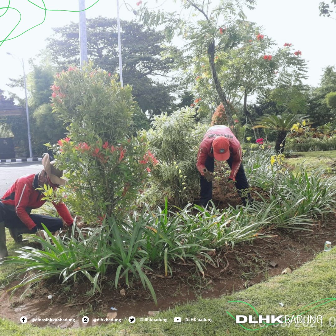 Aktivitas rutin pembersihan dan pecukuran dari tim taman Dinas Lingkungan Hidup dan Kebersihan Kabupaten Badung pagi tadi di Taman Intersection seputaran area Patung Dewa Ruci Kecamatan Kuta untuk mewujudkan Badung Bersih (BARES) 

#dlhkbadung
#badungbersih
#bares