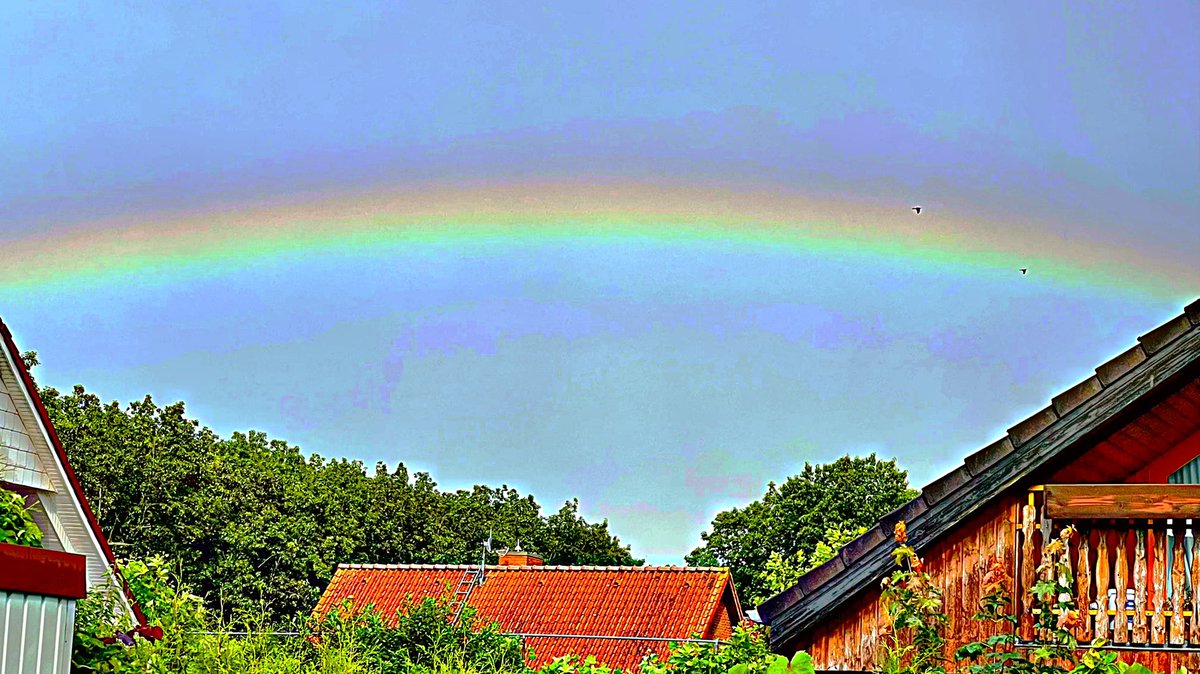 Wolfs_Diary's tweet photo. The rainbow
after the summer rain
like a glass of sweet wine
after a busy day ... https://t.co/n1zaxDSjz8