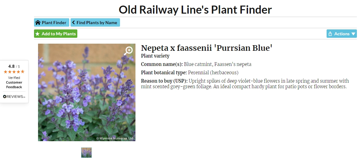 JoyofPlants's tweet photo. #PlantOfTheWeek – Nepeta x faassenii 'Purrsian Blue' a lovely plant for borders and containers, mint scented leaves with upright spikes of deep violet-blue flowers from spring into summer. Added to our #PlantShare library by @WyevaleNurs. https://t.co/YXoxliIL61