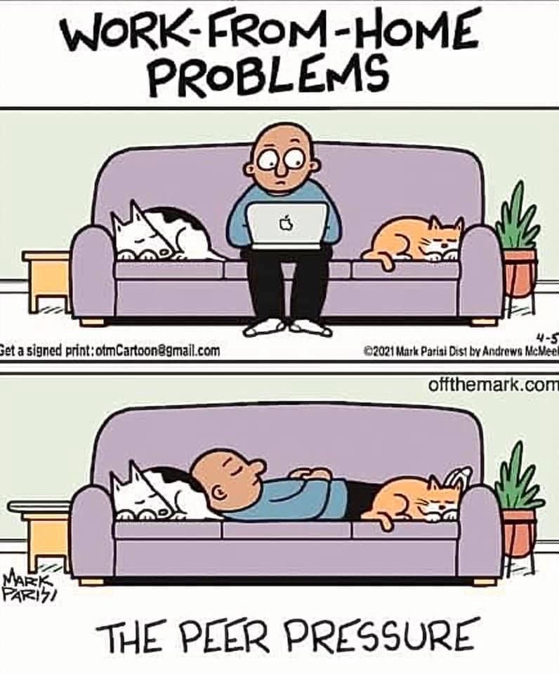Monday Morning Problems 😂 😂 #WorkFromHome