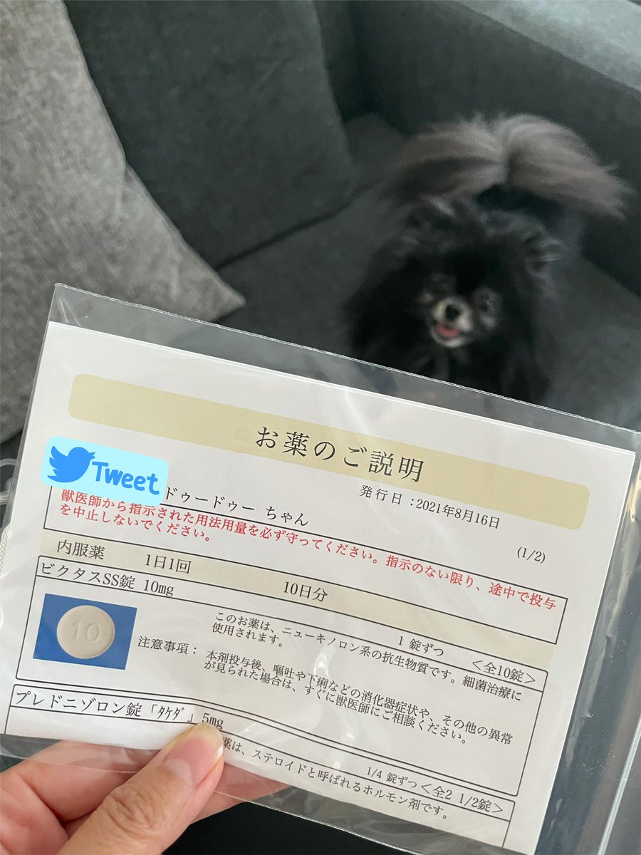 マイボーム腺炎 Hashtag On Twitter